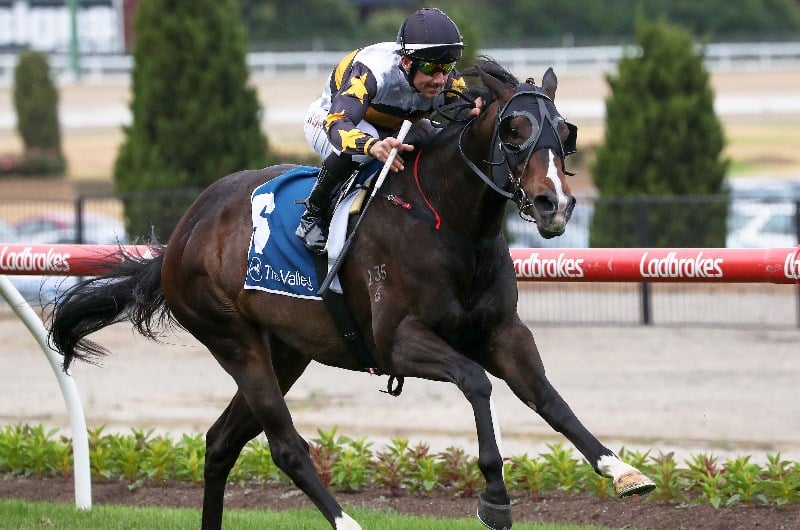 Horsham Betting Tips