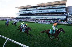 The Everest Tips & Runner-by-Runner Preview