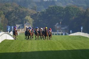 ASCOT, ENGLAND - OCTOBER 16: Hollie Doyle riding Trueshan (blue/yellow) win The Qipco British Champions Long Distance Cup during the Qipco British Champions Day at Ascot Racecourse on October 16, 2021 in Ascot, England. (Photo by Alan Crowhurst/Getty Images)