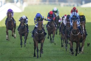 ASCOT, ENGLAND - OCTOBER 16: Hollie Doyle riding Trueshan (blue/yellow) win The Qipco British Champions Long Distance Cup during the Qipco British Champions Day at Ascot Racecourse on October 16, 2021 in Ascot, England. (Photo by Alan Crowhurst/Getty Images)