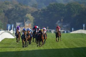 ASCOT, ENGLAND - OCTOBER 16: Hollie Doyle riding Trueshan (blue/yellow) win The Qipco British Champions Long Distance Cup during the Qipco British Champions Day at Ascot Racecourse on October 16, 2021 in Ascot, England. (Photo by Alan Crowhurst/Getty Images)