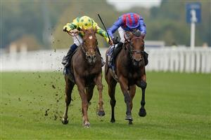 ASCOT, ENGLAND - OCTOBER 16: Mickael Barzalona riding Sealiway (yellow/green) win The Qipco Champion Stakes during the Qipco British Champions Day at Ascot Racecourse on October 16, 2021 in Ascot, England. (Photo by Alan Crowhurst/Getty Images)