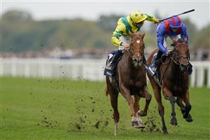 ASCOT, ENGLAND - OCTOBER 16: Mickael Barzalona riding Sealiway (yellow/green) win The Qipco Champion Stakes during the Qipco British Champions Day at Ascot Racecourse on October 16, 2021 in Ascot, England. (Photo by Alan Crowhurst/Getty Images)