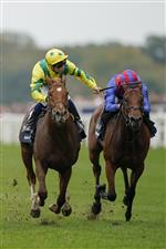 ASCOT, ENGLAND - OCTOBER 16: Mickael Barzalona riding Sealiway (yellow/green) win The Qipco Champion Stakes during the Qipco British Champions Day at Ascot Racecourse on October 16, 2021 in Ascot, England. (Photo by Alan Crowhurst/Getty Images)