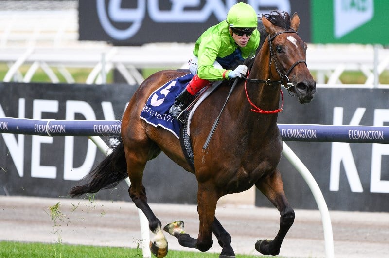 Geelong Cup Tips