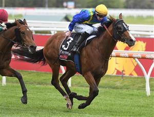 MELBOURNE, AUSTRALIA - OCTOBER 16: Damien Thornton riding Extreme Flight winning Race 3, the Polytrack Gothic Stakes, during Caulfield Cup Day at Caulfield Racecourse on October 16, 2021 in Melbourne, Australia. (Photo by Vince Caligiuri/Getty Images)