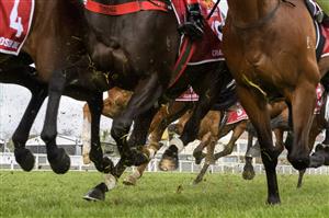 MELBOURNE, AUSTRALIA - OCTOBER 16: General view of Race 9, the Carlton Draught Caulfield Cup, during Caulfield Cup Day at Caulfield Racecourse on October 16, 2021 in Melbourne, Australia. (Photo by Vince Caligiuri/Getty Images)