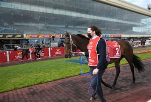MELBOURNE, AUSTRALIA - OCTOBER 16: Incentivise parades before winning Race 9, the Carlton Draught Caulfield Cup, during Caulfield Cup Day at Caulfield Racecourse on October 16, 2021 in Melbourne, Australia. (Photo by Vince Caligiuri/Getty Images)