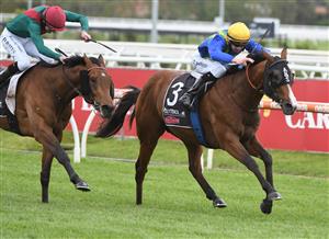 MELBOURNE, AUSTRALIA - OCTOBER 16: Damien Thornton riding Extreme Flight winning Race 3, the Polytrack Gothic Stakes, during Caulfield Cup Day at Caulfield Racecourse on October 16, 2021 in Melbourne, Australia. (Photo by Vince Caligiuri/Getty Images)