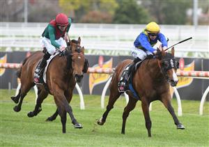 MELBOURNE, AUSTRALIA - OCTOBER 16: Damien Thornton riding Extreme Flight winning Race 3, the Polytrack Gothic Stakes, during Caulfield Cup Day at Caulfield Racecourse on October 16, 2021 in Melbourne, Australia. (Photo by Vince Caligiuri/Getty Images)