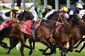 MELBOURNE, AUSTRALIA - OCTOBER 16: Brett Prebble riding Incentivise in to the first turn before winning Race 9, the Carlton Draught Caulfield Cup, during Caulfield Cup Day at Caulfield Racecourse on October 16, 2021 in Melbourne, Australia. (Photo by Vince Caligiuri/Getty Images)