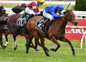 MELBOURNE, AUSTRALIA - OCTOBER 16: Damian Lane riding Colette winning Race 7, the Lexus Tristarc Stakes, during Caulfield Cup Day at Caulfield Racecourse on October 16, 2021 in Melbourne, Australia. (Photo by Vince Caligiuri/Getty Images)