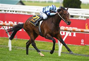MELBOURNE, AUSTRALIA - OCTOBER 16: Damian Lane riding Daisies winning Race 4, the Schweppes Ethereal Stakes, during Caulfield Cup Day at Caulfield Racecourse on October 16, 2021 in Melbourne, Australia. (Photo by Vince Caligiuri/Getty Images)