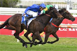 MELBOURNE, AUSTRALIA - OCTOBER 16: Damien Oliver riding Vianello winning Race 2, the Tile Importer Trophy, during Caulfield Cup Day at Caulfield Racecourse on October 16, 2021 in Melbourne, Australia. (Photo by Vince Caligiuri/Getty Images)