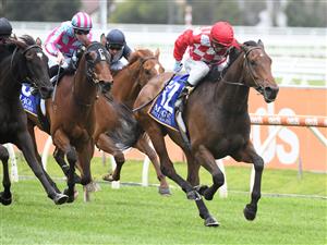 MELBOURNE, AUSTRALIA - OCTOBER 16: Jarrod Fry riding Saltpeter winning Race 1, the Magic Millions Grand Handicap, during Caulfield Cup Day at Caulfield Racecourse on October 16, 2021 in Melbourne, Australia. (Photo by Vince Caligiuri/Getty Images)