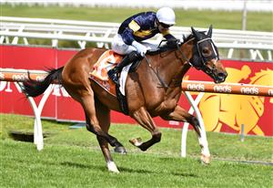 MELBOURNE, AUSTRALIA - OCTOBER 16: Jye McNeil riding Buffalo River winning race 6, the Neds Moonga Stakes, during Caulfield Cup Day at Caulfield Racecourse on October 16, 2021 in Melbourne, Australia. (Photo by Vince Caligiuri/Getty Images)