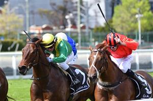 Manikato Stakes 2021 Barrier Draw & Final Field