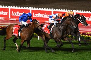 Manikato Stakes Live Stream - Watch the Moonee Valley race live