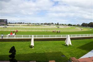 MELBOURNE, AUSTRALIA - OCTOBER 16: General view before race 5, the Neds Classic, during Caulfield Cup Day at Caulfield Racecourse on October 16, 2021 in Melbourne, Australia. (Photo by Vince Caligiuri/Getty Images)