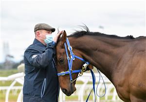 PAKENHAM, AUSTRALIA - OCTOBER 17: Trainer Peter Moody and Caulfield Cup winner Incentivise posing at Pakenham this morning on October 17, 2021 in Pakenham, Australia. (Photo by Vince Caligiuri/Getty Images))