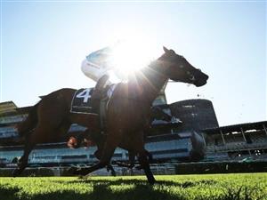 The Invitation Live Stream - Watch the Randwick race live