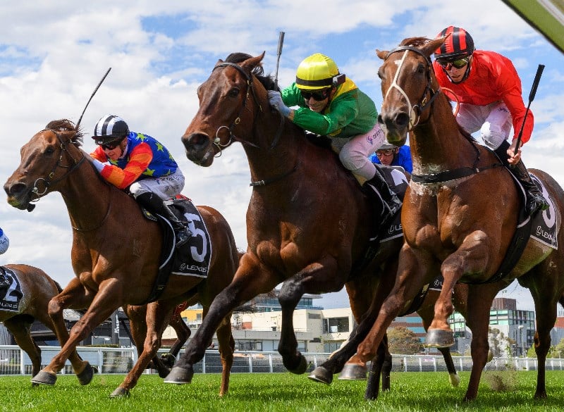 Manikato Stakes Betting Odds