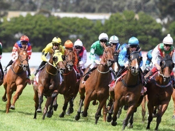 Northam tips for 18.06.2020