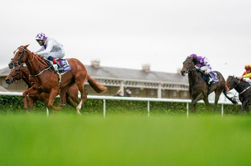 Vertem Futurity Trophy