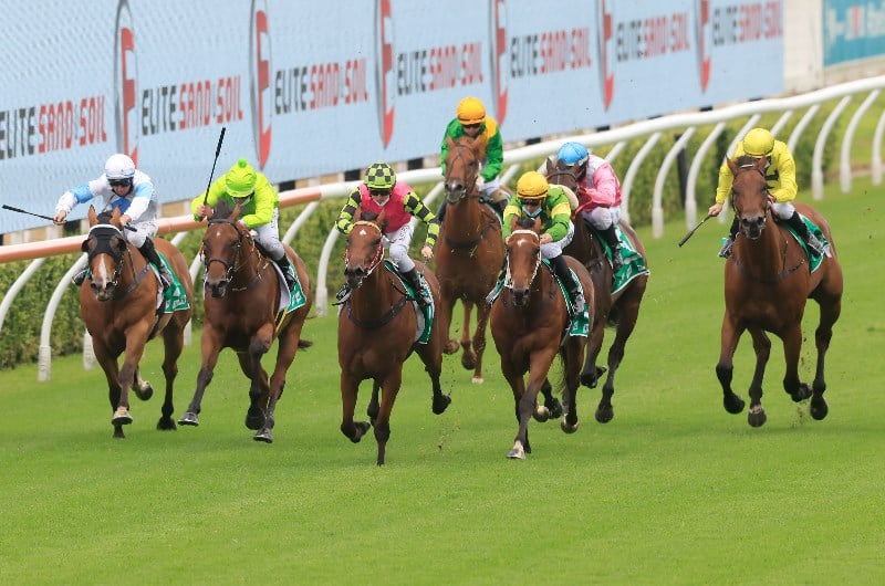 randwick kensington tips for 20.10.2021