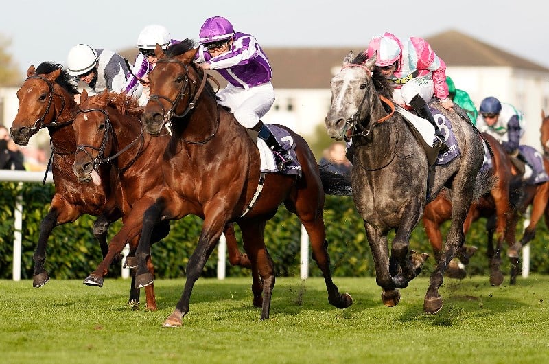 Vertem Futurity Trophy