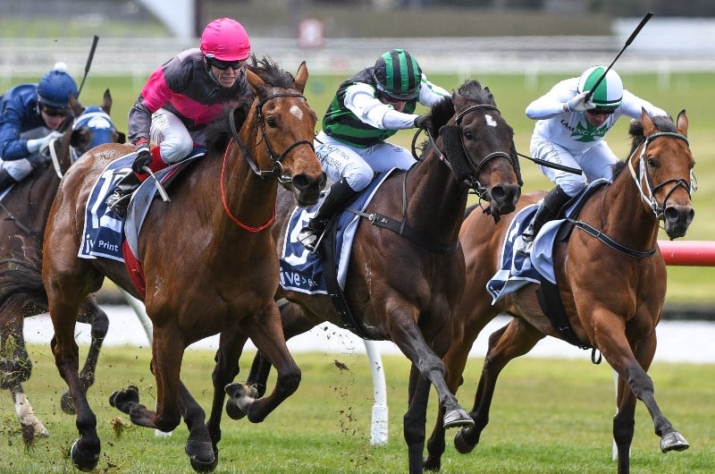 Sale Betting Tips