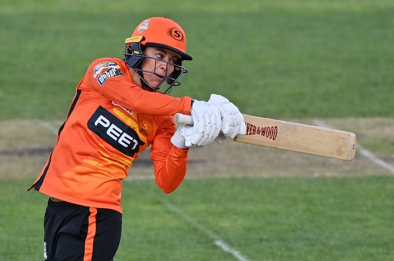 perth scorchers