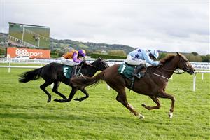CHELTENHAM, ENGLAND - OCTOBER 22: Sean Bowen riding Bardenstown Lad (light blue) clear the last to win The 888sport What's Your Thinking Novices' Hurdle at Cheltenham Racecourse on October 22, 2021 in Cheltenham, England. (Photo by Alan Crowhurst/Getty Images)