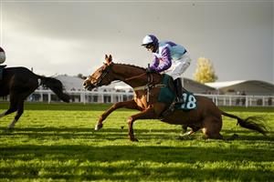 CHELTENHAM, ENGLAND - OCTOBER 22: Tristan Durrell riding Madera Mist survive a mistake at a fence during The Andy Stewart Memorial Amateur Jockeys' Handicap Chase at Cheltenham Racecourse on October 22, 2021 in Cheltenham, England. (Photo by Alan Crowhurst/Getty Images)