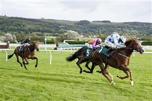 CHELTENHAM, ENGLAND - OCTOBER 22: Sean Bowen riding Bardenstown Lad (light blue) clear the last to win The 888sport What's Your Thinking Novices' Hurdle at Cheltenham Racecourse on October 22, 2021 in Cheltenham, England. (Photo by Alan Crowhurst/Getty Images)
