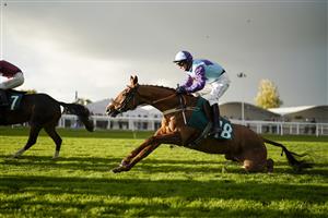 CHELTENHAM, ENGLAND - OCTOBER 22: Tristan Durrell riding Madera Mist survive a mistake at a fence during The Andy Stewart Memorial Amateur Jockeys' Handicap Chase at Cheltenham Racecourse on October 22, 2021 in Cheltenham, England. (Photo by Alan Crowhurst/Getty Images)