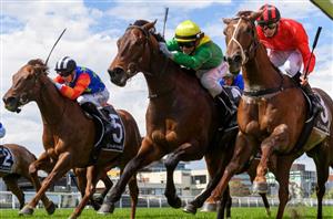 Manikato Stakes Betting Odds