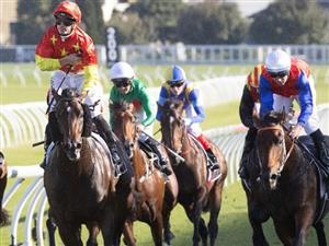 Moonee Valley Betting Tips