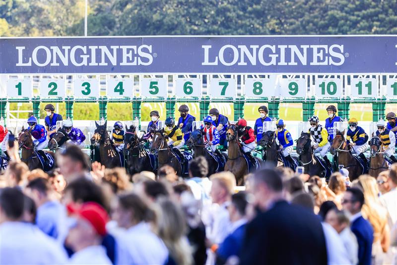 SYDNEY, AUSTRALIA - OCTOBER 23: Jenny Duggan (L) on Torrens jumps from the gates before winning race 7 the Clubsnsw City Tattersalls Club Cup during Sydney Racing at Royal Randwick Racecourse on October 23, 2021 in Sydney, Australia. (Photo by Mark Evans/Getty Images)