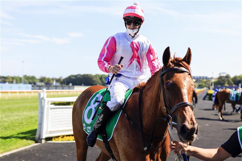SYDNEY, AUSTRALIA - OCTOBER 23: Jason Collett on Ruby Tuesday returns to scale after winning
 race 6 the Geyer Handicap during Sydney Racing at Royal Randwick Racecourse on October 23, 2021 in Sydney, Australia. (Photo by Mark Evans/Getty Images)