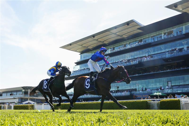 SYDNEY, AUSTRALIA - OCTOBER 23: Jenny Duggan on Torrens is seen in the first lap before winning race 7 the Clubsnsw City Tattersalls Club Cup during Sydney Racing at Royal Randwick Racecourse on October 23, 2021 in Sydney, Australia. (Photo by Mark Evans/Getty Images)