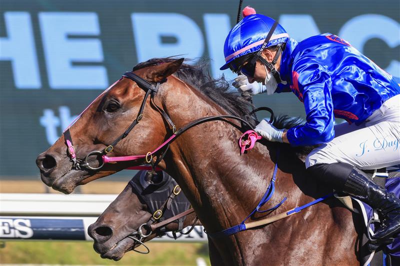 SYDNEY, AUSTRALIA - OCTOBER 23: Jenny Duggan on Torrens wins race 7 the Clubsnsw City Tattersalls Club Cup during Sydney Racing at Royal Randwick Racecourse on October 23, 2021 in Sydney, Australia. (Photo by Mark Evans/Getty Images)