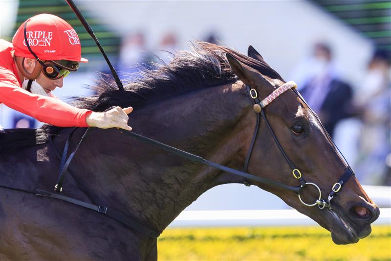 SYDNEY, AUSTRALIA - OCTOBER 23: Sam Clipperton on Exoboom wins race 5 the Robrick Lodge Filante Handicap during Sydney Racing at Royal Randwick Racecourse on October 23, 2021 in Sydney, Australia. (Photo by Mark Evans/Getty Images)