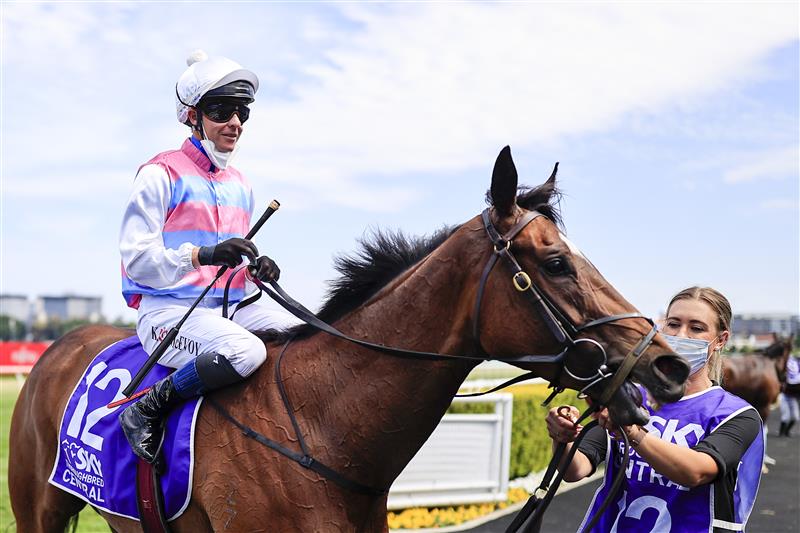 SYDNEY, AUSTRALIA - OCTOBER 23: Kerrin McEvoy on Pandora Blue returns to scale after winning
 race 4 the Midway Handicap during Sydney Racing at Royal Randwick Racecourse on October 23, 2021 in Sydney, Australia. (Photo by Mark Evans/Getty Images)