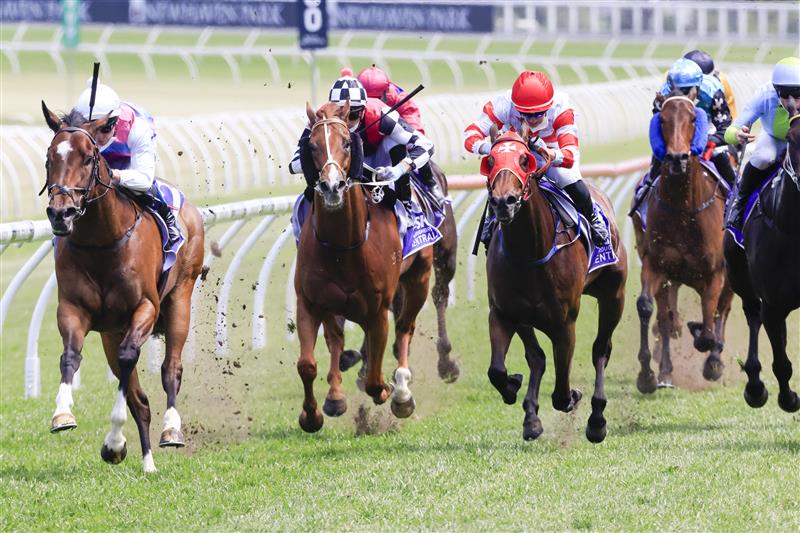 SYDNEY, AUSTRALIA - OCTOBER 23: Kerrin McEvoy on Pandora Blue wins race 4 the Midway Handicap during Sydney Racing at Royal Randwick Racecourse on October 23, 2021 in Sydney, Australia. (Photo by Mark Evans/Getty Images)