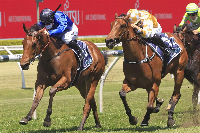 SYDNEY, AUSTRALIA - OCTOBER 23: Tim Clark on Ojai wins race 1 the World Gym Castlereagh Kirkham Plate during Sydney Racing at Royal Randwick Racecourse on October 23, 2021 in Sydney, Australia. (Photo by Mark Evans/Getty Images)