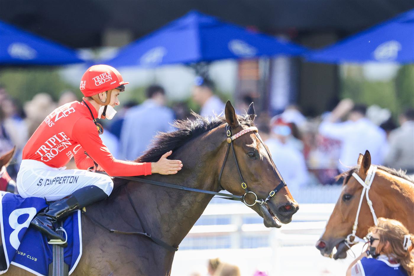 SYDNEY, AUSTRALIA - OCTOBER 23: Sam Clipperton on Exoboom returns to scale after winning
 race 5 the Robrick Lodge Filante Handicap during Sydney Racing at Royal Randwick Racecourse on October 23, 2021 in Sydney, Australia. (Photo by Mark Evans/Getty Images)