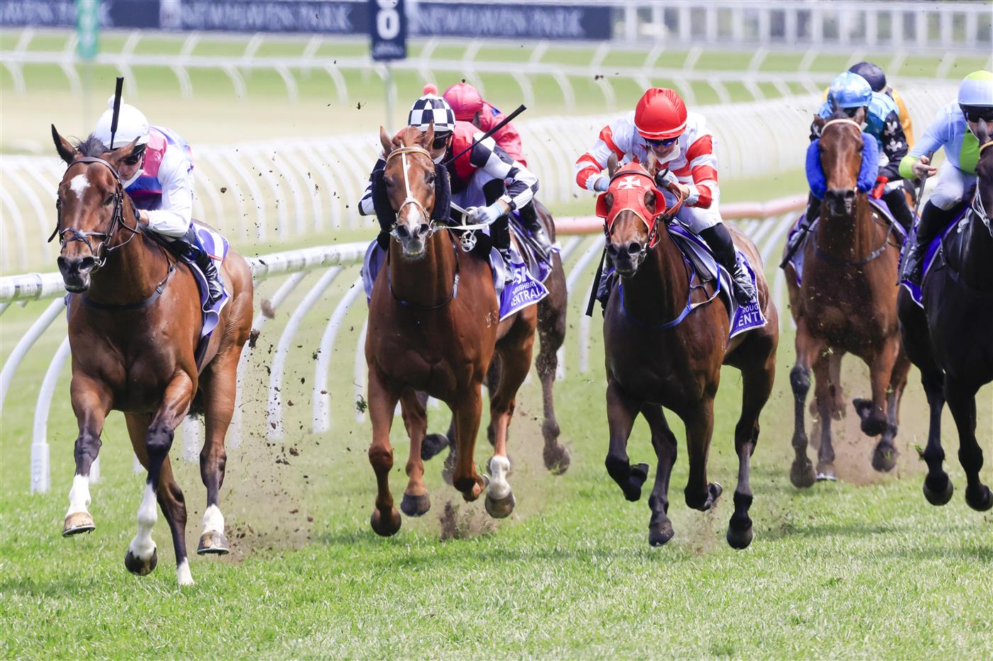 SYDNEY, AUSTRALIA - OCTOBER 23: Kerrin McEvoy on Pandora Blue wins race 4 the Midway Handicap during Sydney Racing at Royal Randwick Racecourse on October 23, 2021 in Sydney, Australia. (Photo by Mark Evans/Getty Images)