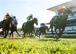 Big Bets Results from October 23