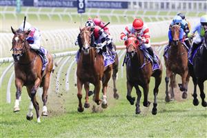 SYDNEY, AUSTRALIA - OCTOBER 23: Kerrin McEvoy on Pandora Blue wins race 4 the Midway Handicap during Sydney Racing at Royal Randwick Racecourse on October 23, 2021 in Sydney, Australia. (Photo by Mark Evans/Getty Images)